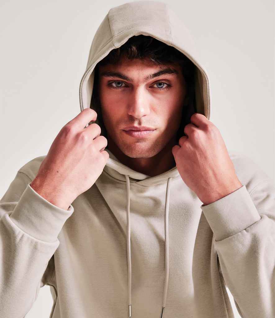 AM101 Stone Model
