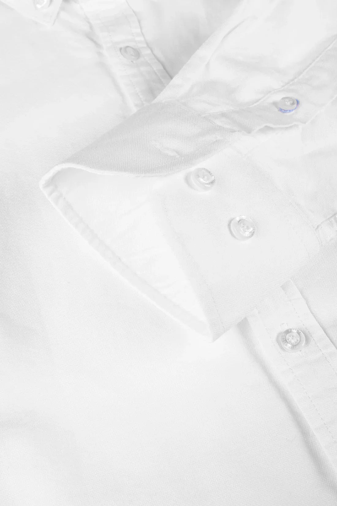 Ladies Rochester Oxford Shirt - Brand It Essex Ltd